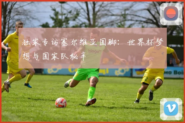 独家专访塞尔维亚国脚：世界杯梦想与国家队秘辛
