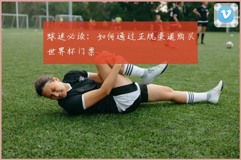 球迷必读：如何通过正规渠道购买世界杯门票