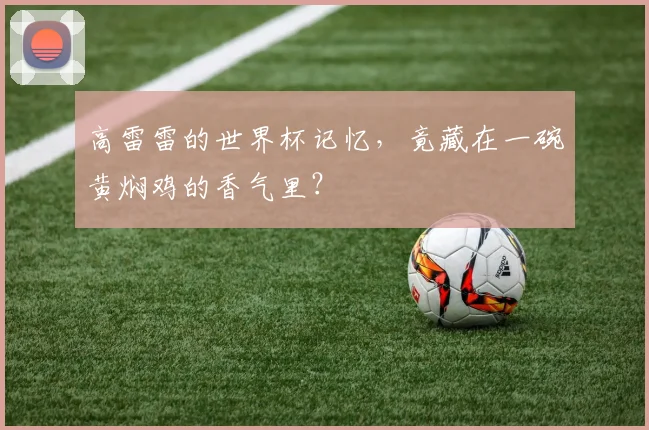 高雷雷的世界杯记忆，竟藏在一碗黄焖鸡的香气里？