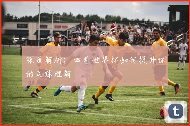 深度解析：回看世界杯如何提升你的足球理解