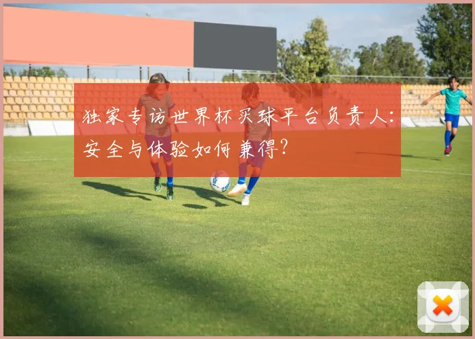 独家专访世界杯买球平台负责人：安全与体验如何兼得？