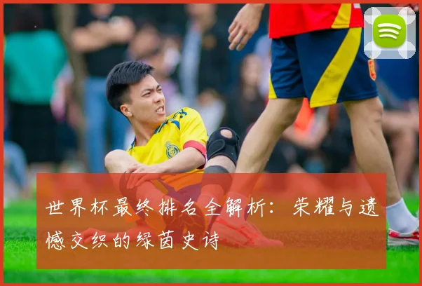 世界杯最终排名全解析：荣耀与遗憾交织的绿茵史诗