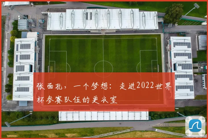 张面孔，一个梦想：走进2022世界杯参赛队伍的更衣室
