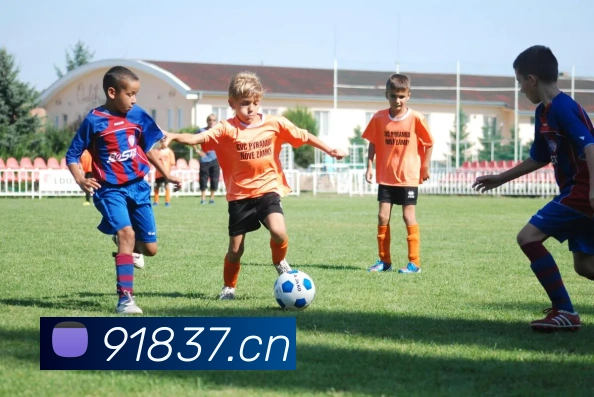 多媒体互动体验